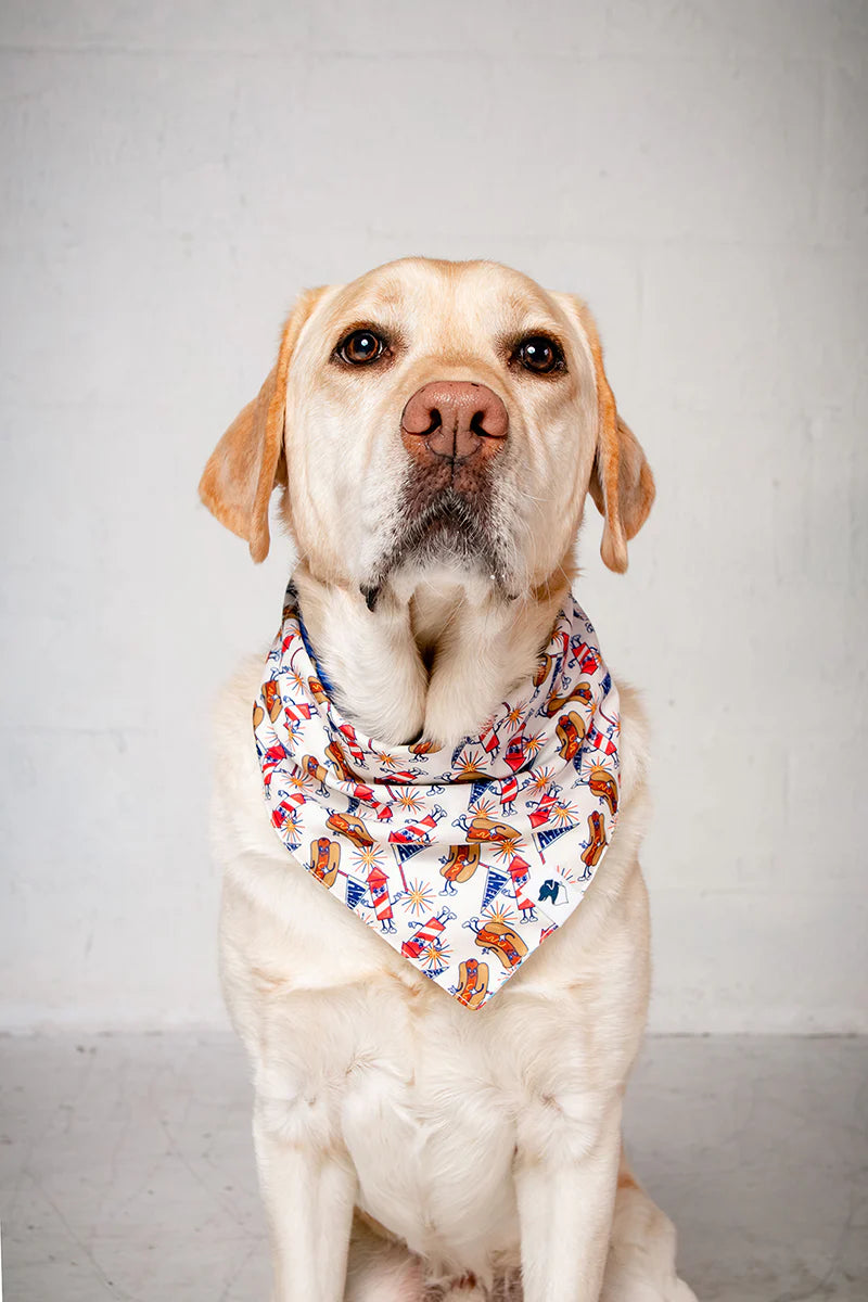 Dog Bandana Co. American Summer Dog Bandana Tie & Snap