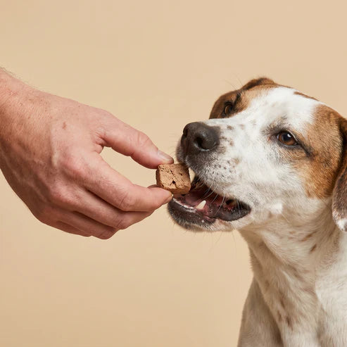 California Dog Kitchen Not Raw Wild Boar Heart, Freeze Dried Treats, 1.5-oz Bag