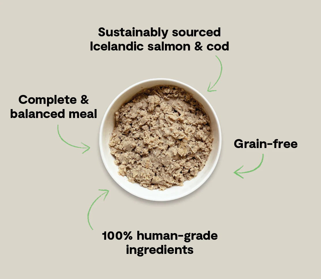 Open Farm Grain Free Salmon & Cod Recipe, Wet Dog Food, 7-oz, Case Of 24