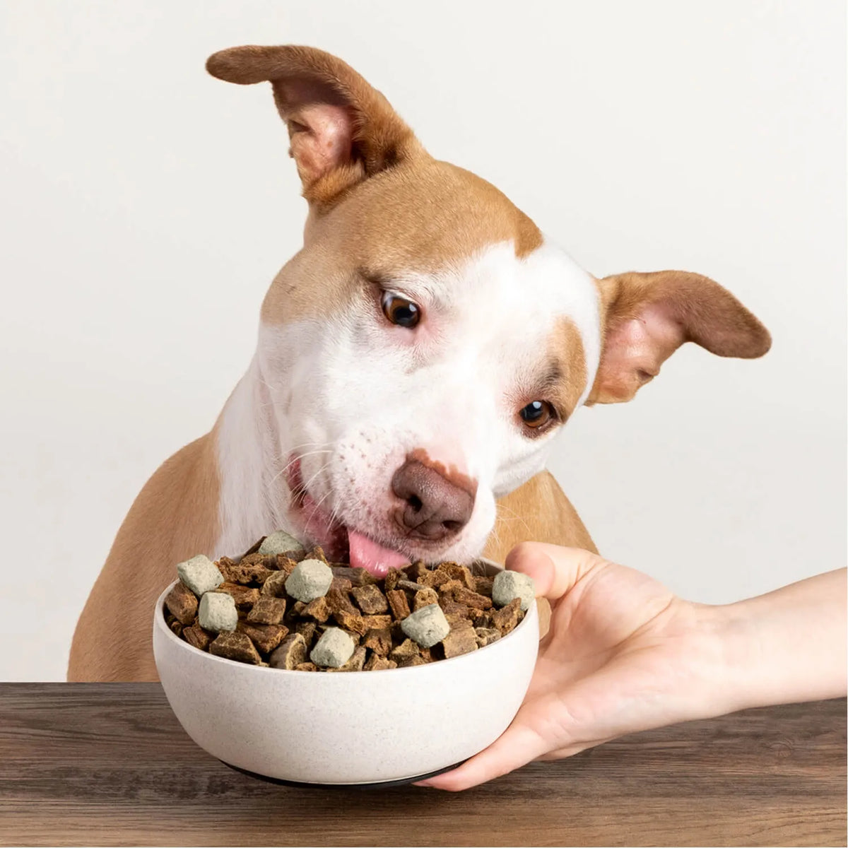 Badlands Ranch Superfood Nuggets Bison & Kale Formula, Freeze-Dried Raw Dog Food Topper, 8-oz Pouch