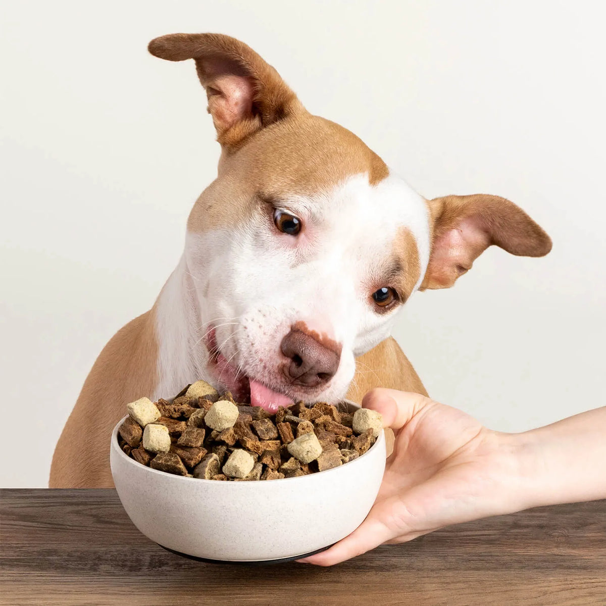 Badlands Ranch Superfood Nuggets Beef Tripe & Kale Formula, Freeze-Dried Raw Dog Food Topper, 8-oz Pouch