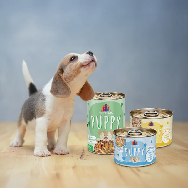 Weruva Puppy Chicken Formula in Gravy, Wet Dog Food, 6-oz Can, Case Of 8