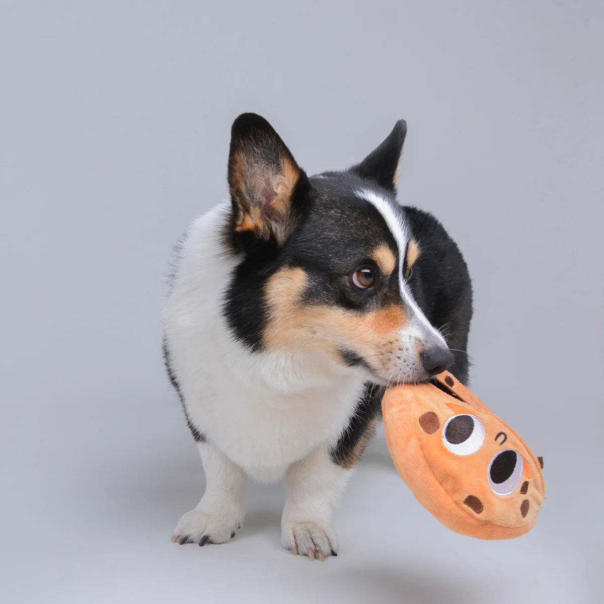 Chewffon Freaky Cookie Nose Work, Dog Toy
