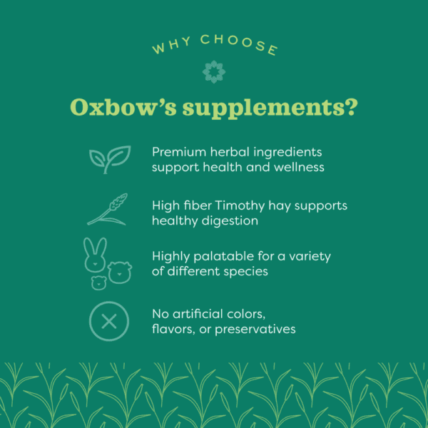 Oxbow Natural Science Skin & Coat Support, Small Animal Supplement, 4.2-oz Pouch