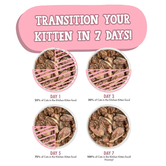 Cats In The Kitchen Kitty Gone Wild , Wet Cat Food
