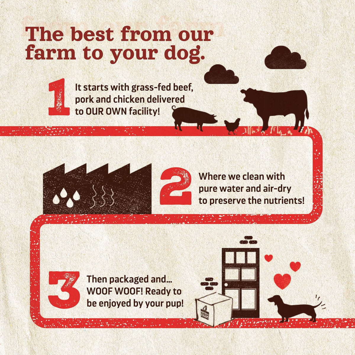 Natural Farm 6-in Beef Jerky, Dog Chews, 10-Count