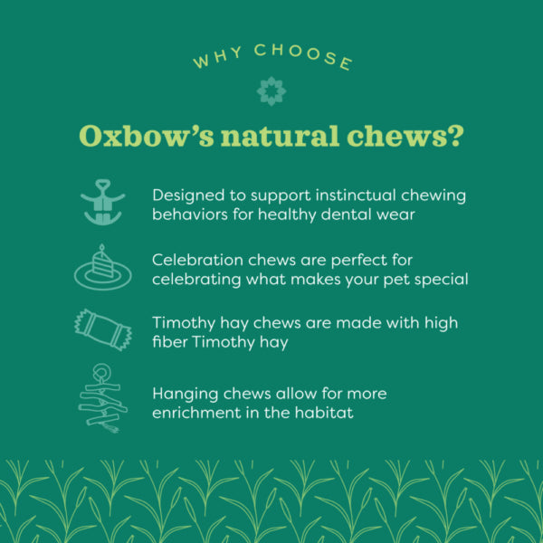 Oxbow Enriched Life Timothy Flowers, Small Animal Chew