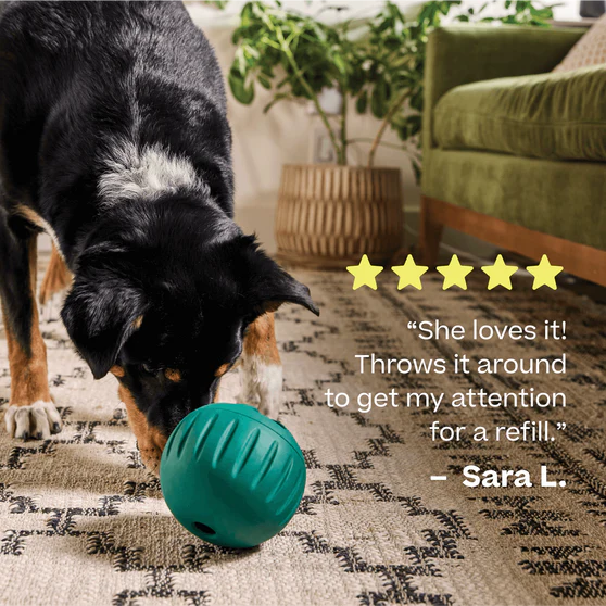 Woof Forager Walkabout, Dog Toy