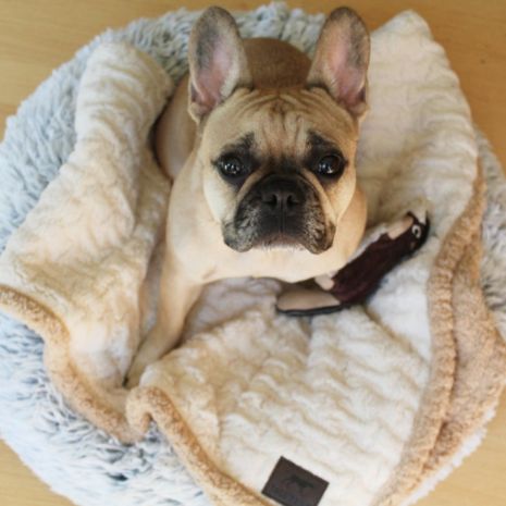 Tall Tails Cuddle Donut, Dog Bed, Gray