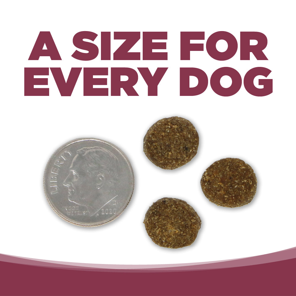 NutriSource® PureVita™ Salmon & Kale Entrée, Dry Dog Food