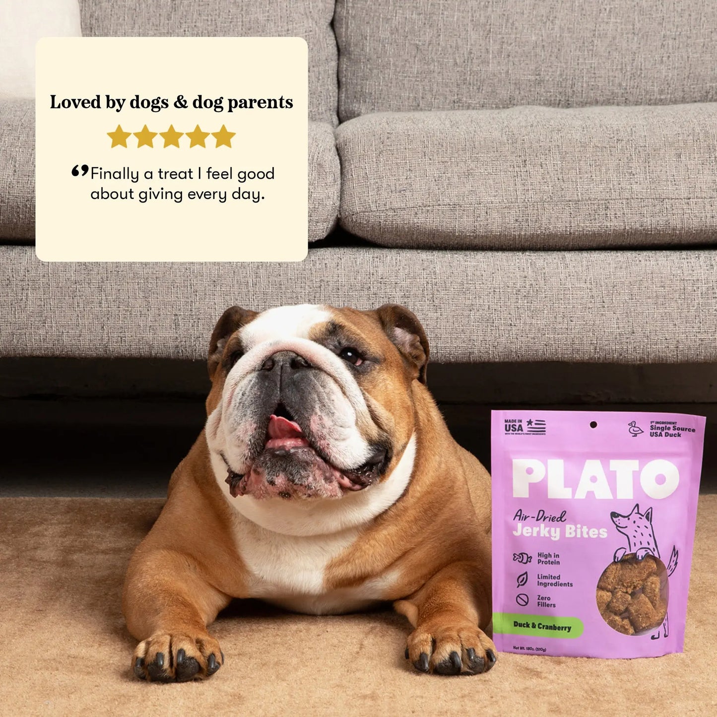 Plato Duck With Cranberry Jerky Bites, Dog Treat, 6-oz Bag
