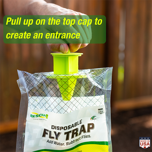 Rescue! Disposable Fly Trap