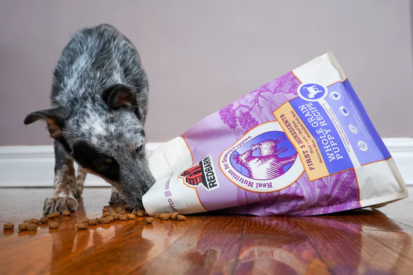 Redbarn Whole Grain Puppy Recipe, Dry Dog Food