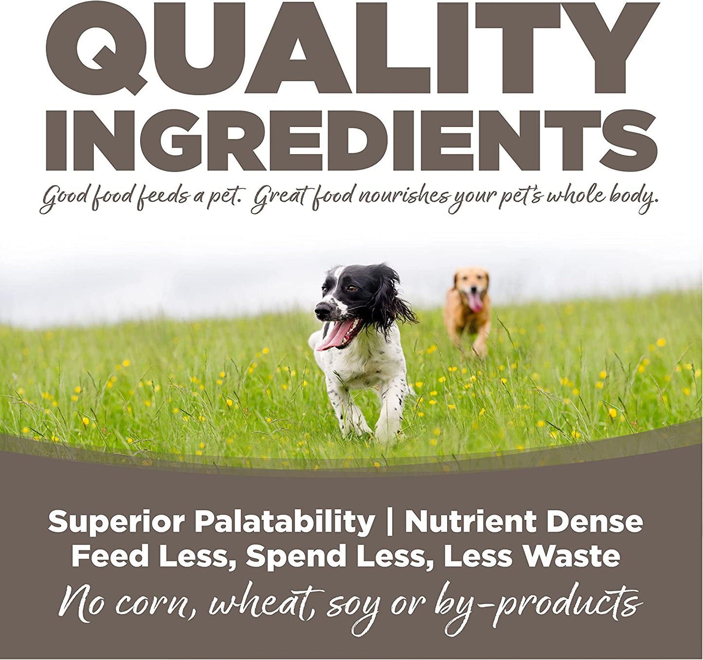 Nutrisource Senior Chicken And Rice Recipe, Dry Dog Food