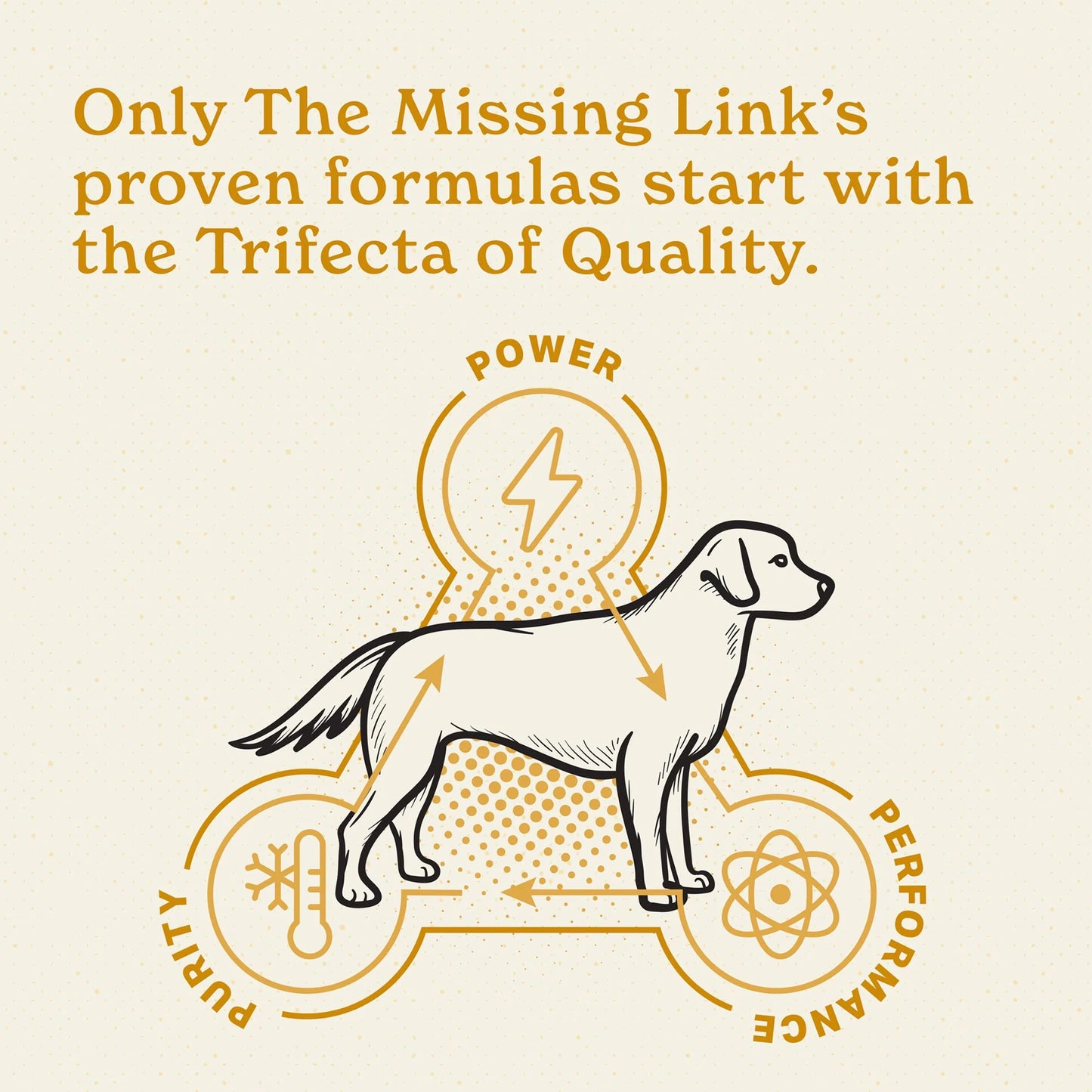The Missing Link Skin & Coat Supplement For Dogs, 1-lb Bag