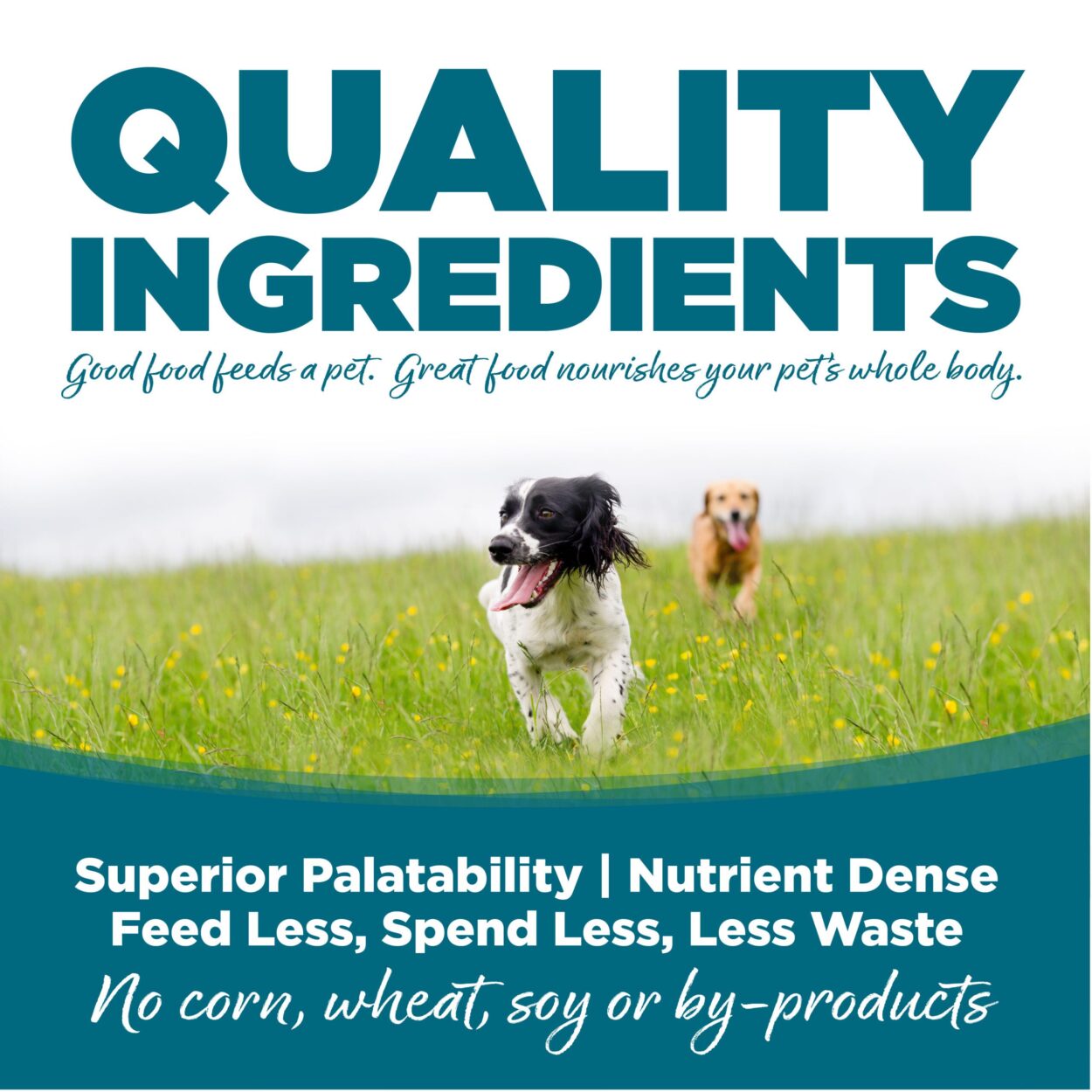 Nutrisource Adult Chicken And Rice, Dry Dog Food