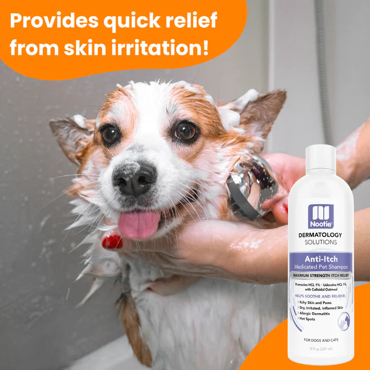Nootie Anti-Itch Medicated 8-oz, Pet Shampoo