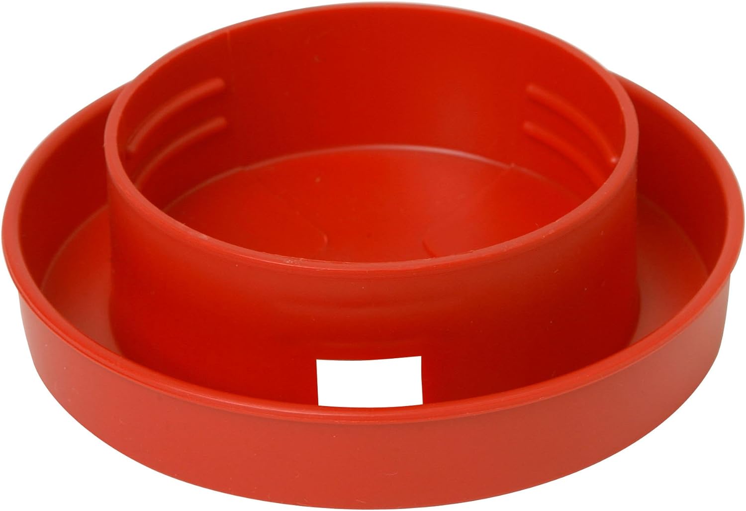 Little Giant Quail Base, 1-Qt – Anaheim Feed & Pet Supply