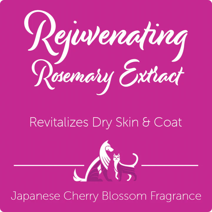Nootie Rejuventaing Rosemary Extract, Japanese Cherry Blossom 16-oz, Pet Shampoo