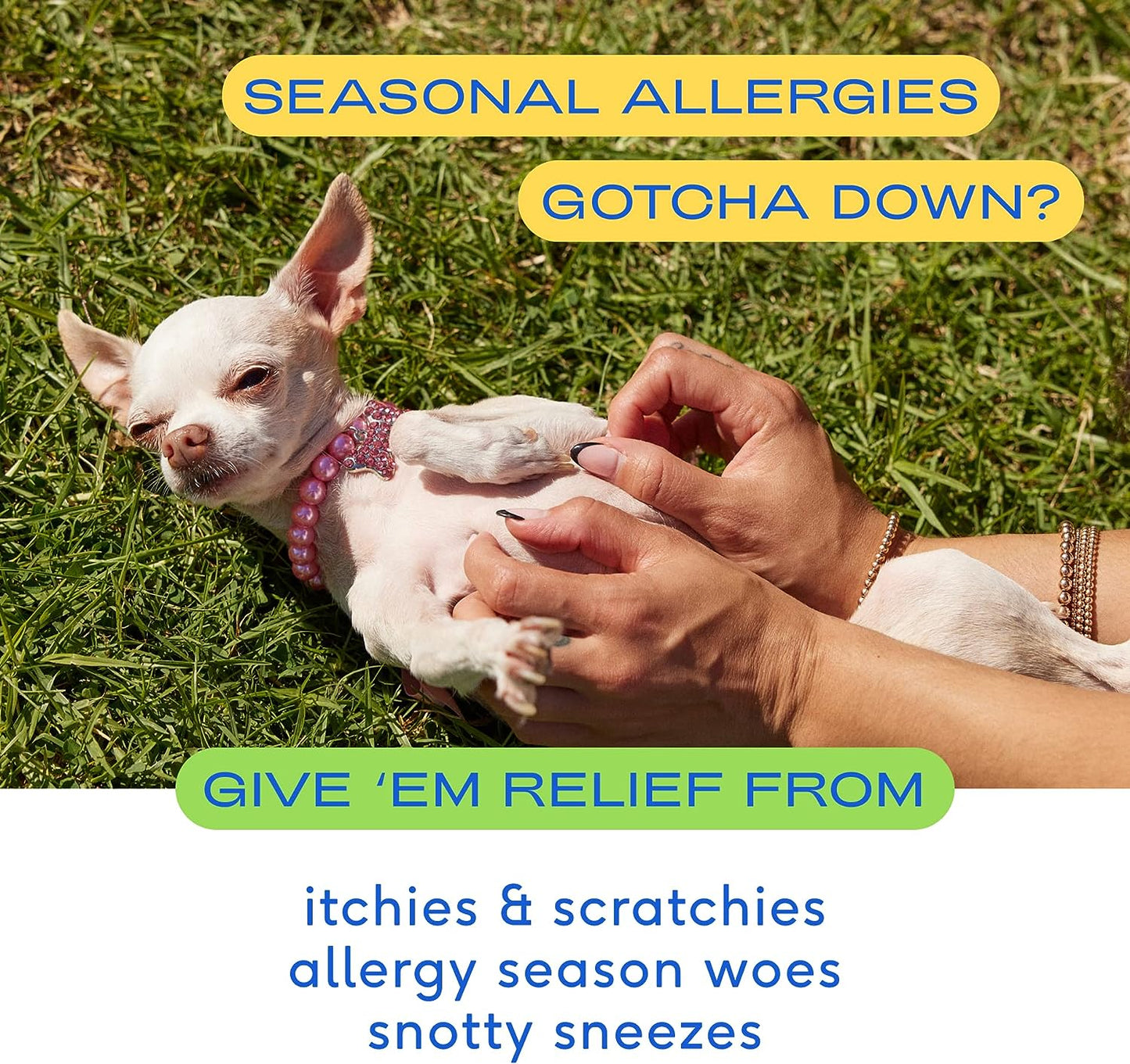 Native Pet Allergy: Air-Dried Immune & Seasonal Allergy Support 30-Count, Dog Supplement