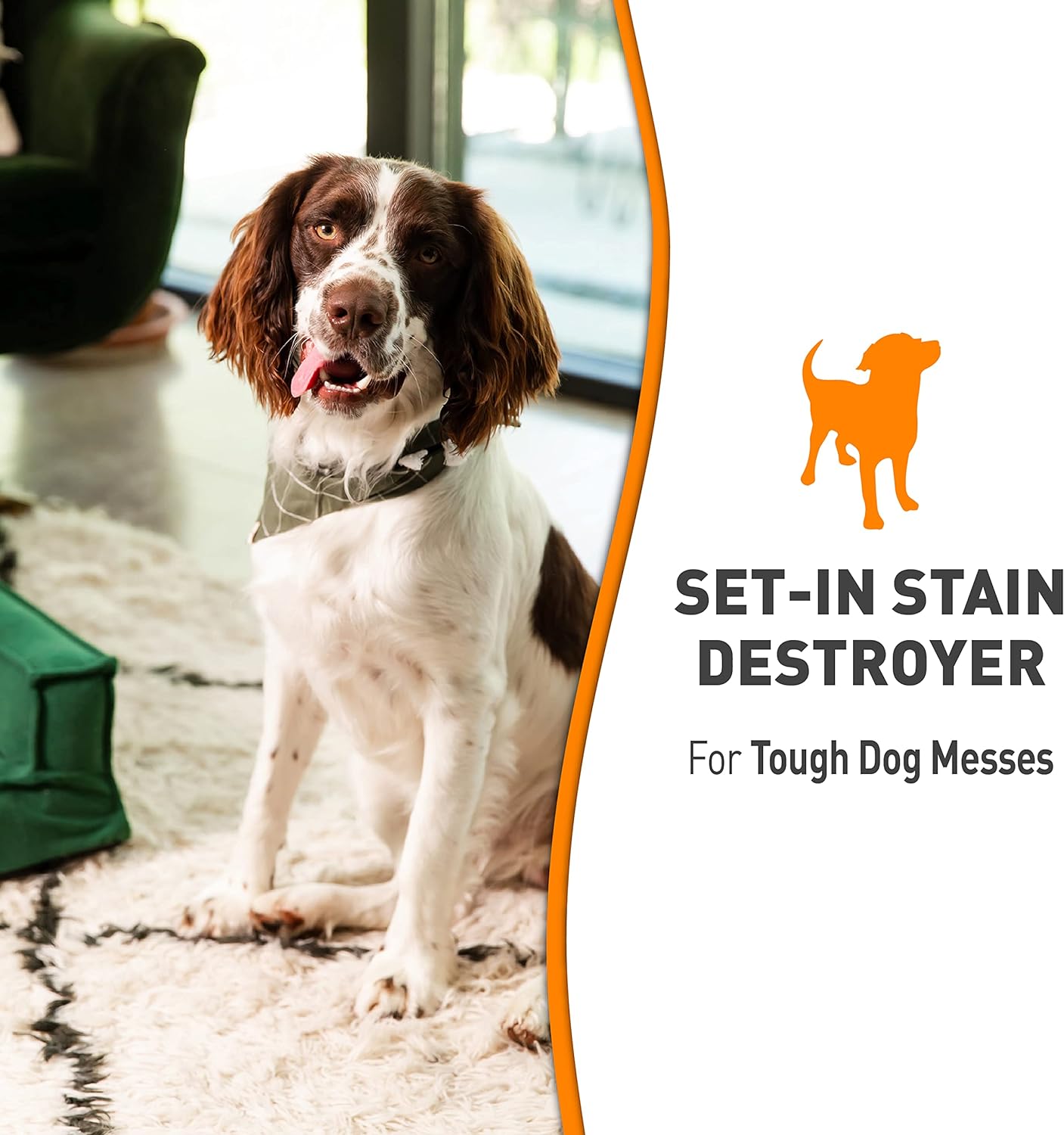 Nature's Miracle Oxy Formula Set-In-Stain Destroyer
