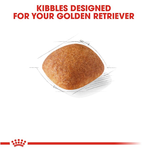 Royal Canin Golden Retriever 30-lb, Dry Dog Food