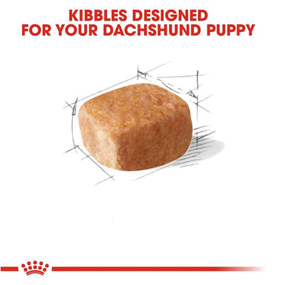 Royal Canin Dachsund Puppy 2.5-lb, Dry Dog Food