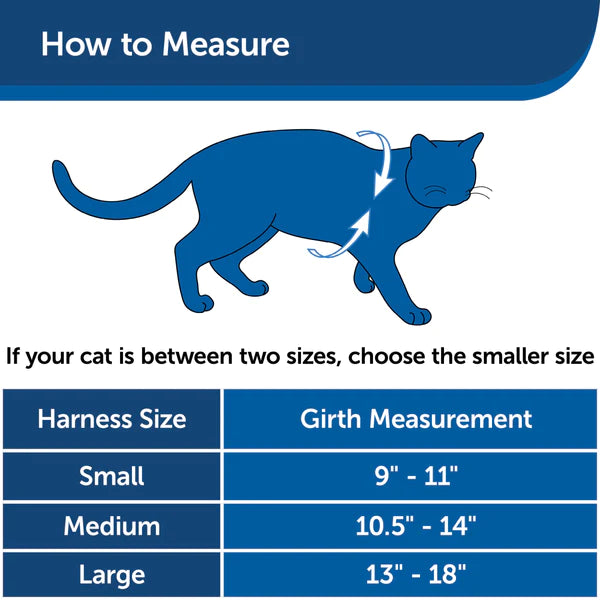 PetSafe Come With Me Kitty™ Cat Harness & Bungee Leash
