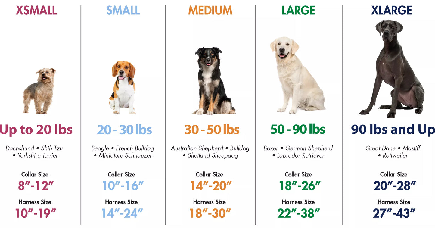 Coastal Pet Products No! Slip Martingale Adjustable Collar With Buckle For Dogs
