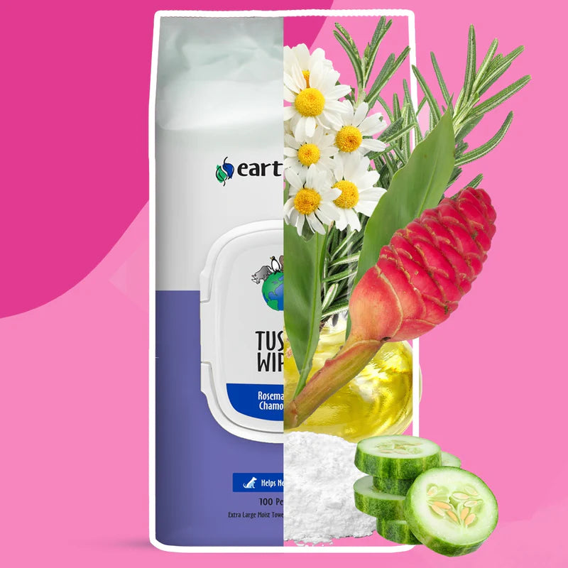 Earthbath Tushy Wipes 100-Count, Pet Wipes