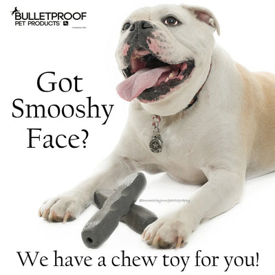 Bulletproof Pet Products Indestructibone Pro Grade Smooshy Face, Dog Toy