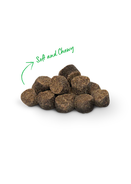 Open Farm Be Good Bites Grass-Fed Beef Recipe 6-oz, Dog Treat
