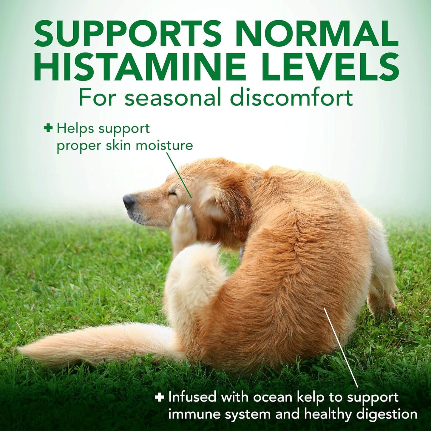 Vets Best Seasonal Allergy Support Tablets 60-Count, Dog Supplement