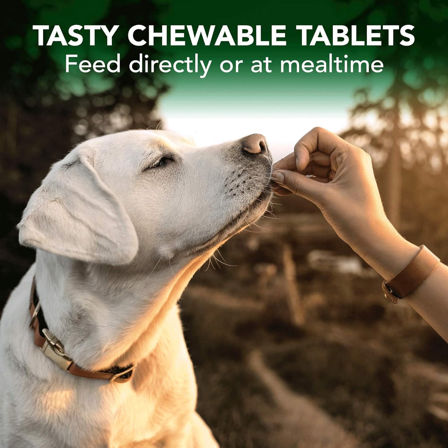 Vets Best Seasonal Allergy Support Tablets 60-Count, Dog Supplement