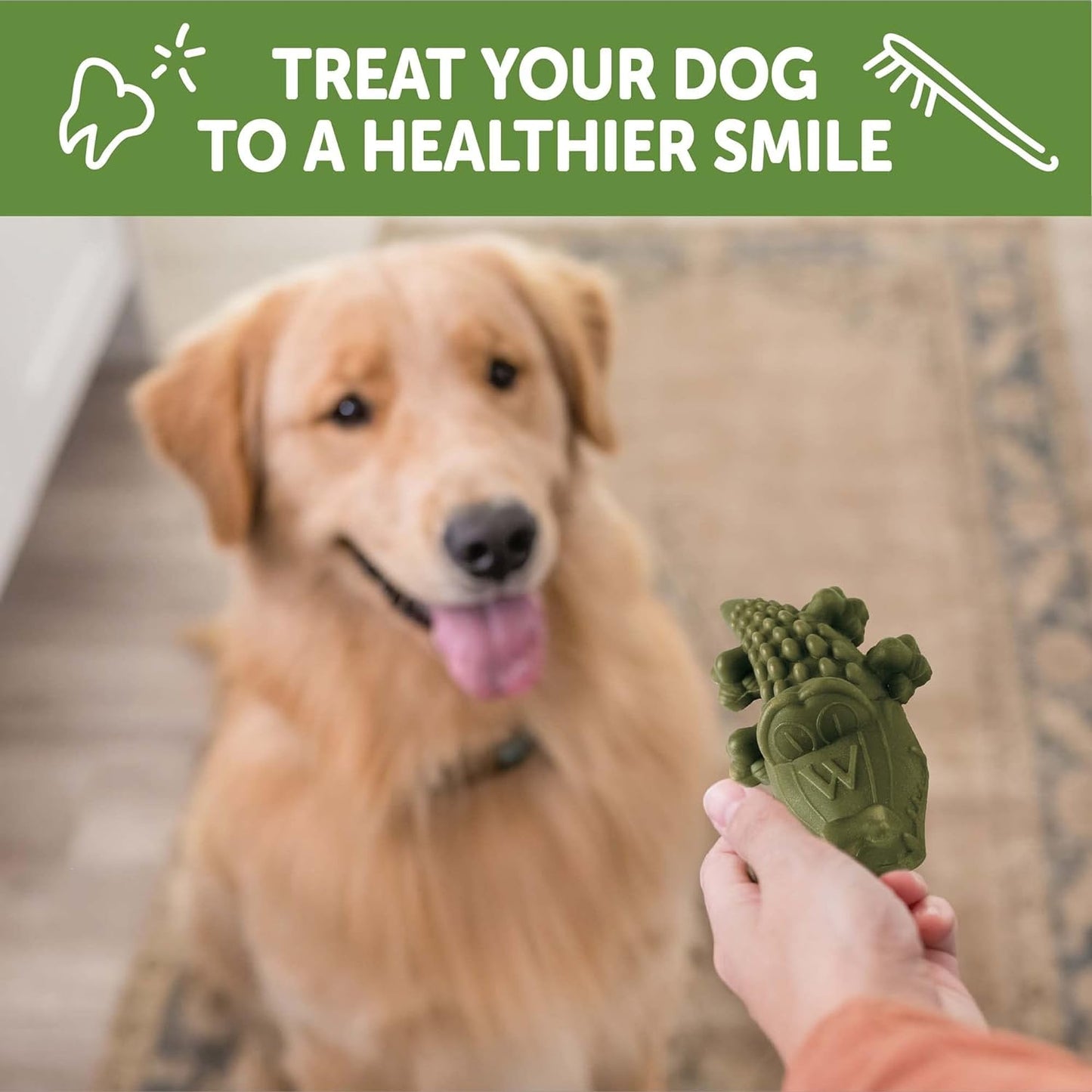 Whimzees All Natural Daily Large Alligator Dental Chews, 6-Count, Dog Chew