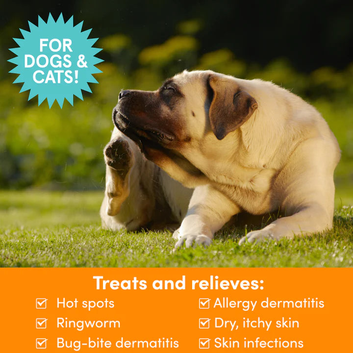 Nootie Medicated Antibacterial & Antifungal 8-oz, Pet Spray