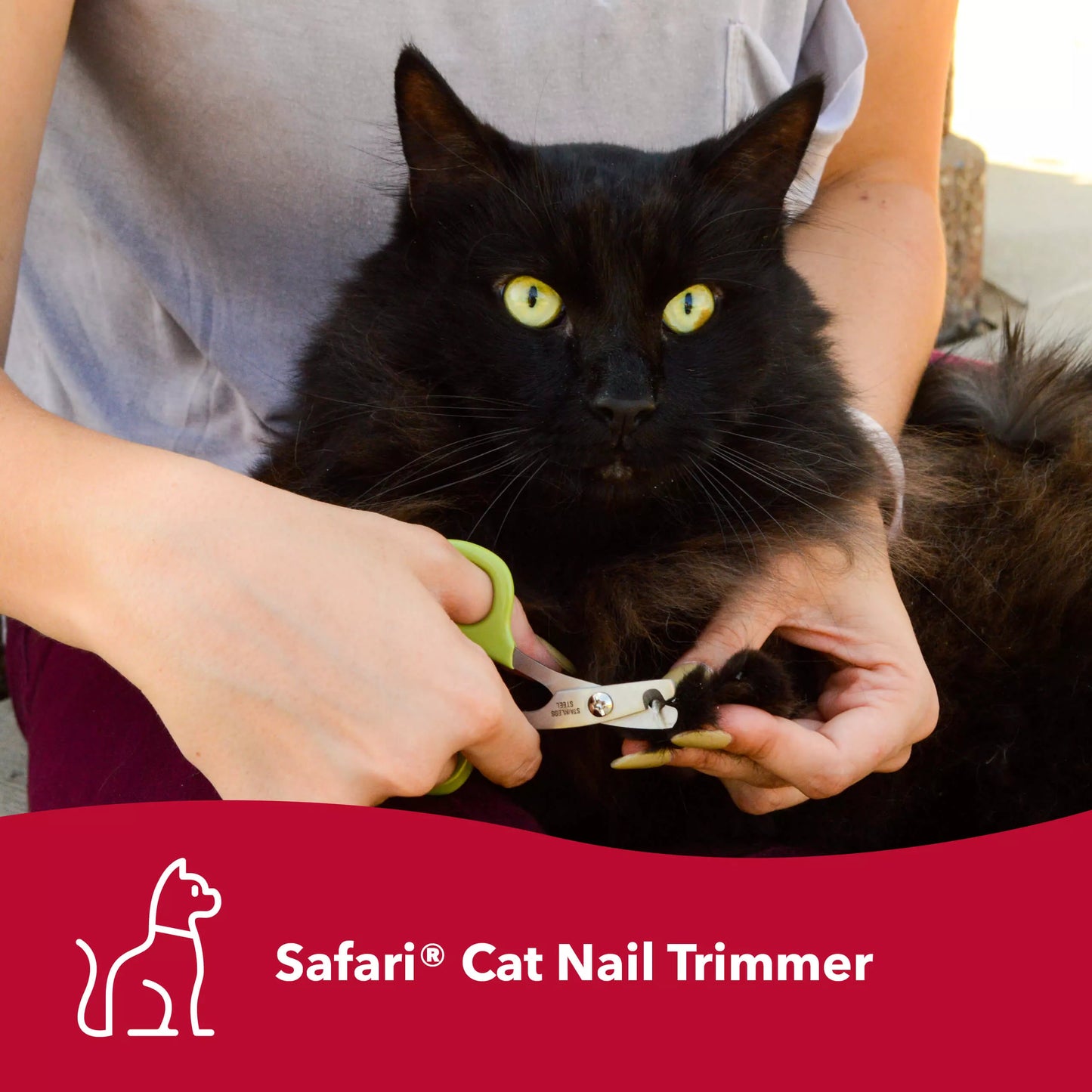 Safari Nail Trimmer For Cats