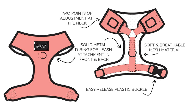 Sassy Woof Adjustable Teddy, Dog Harness