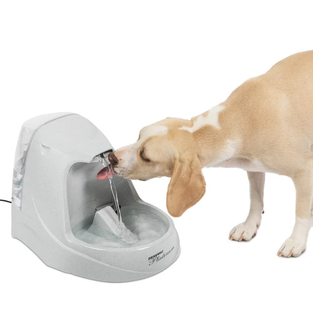 Petsafe Drinkwell Paltinum Pet Fountain, 168-oz Capacity