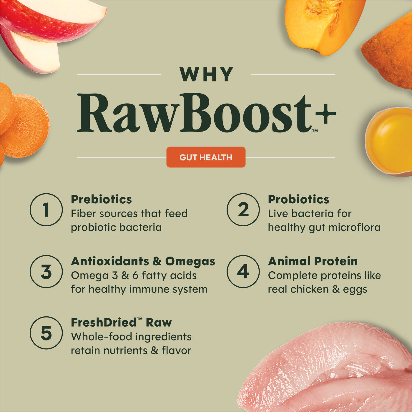Instinct Raw Boost Gut Health With Chicken, Dry Dog Food, 3.5-lb Bag
