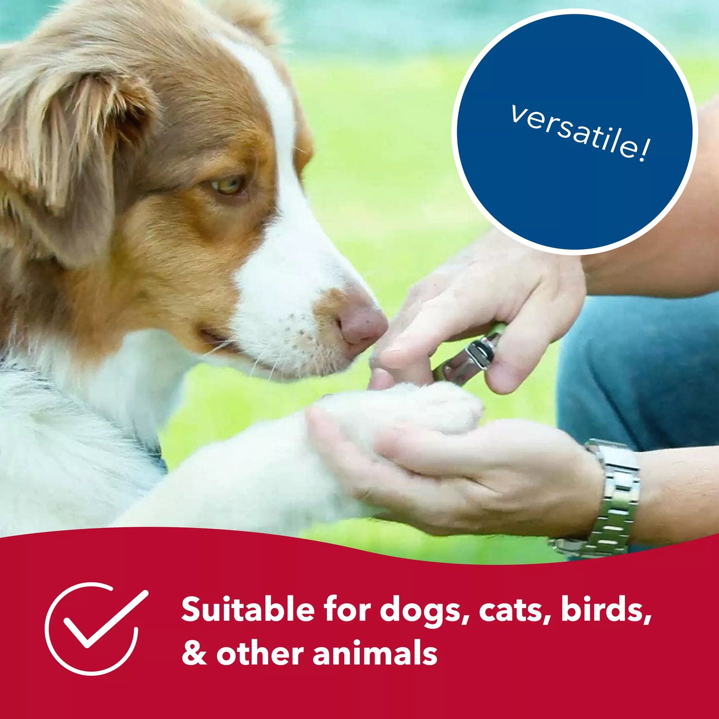 Safari Guillotine Dog Nail Trimmer, Large Breed Size