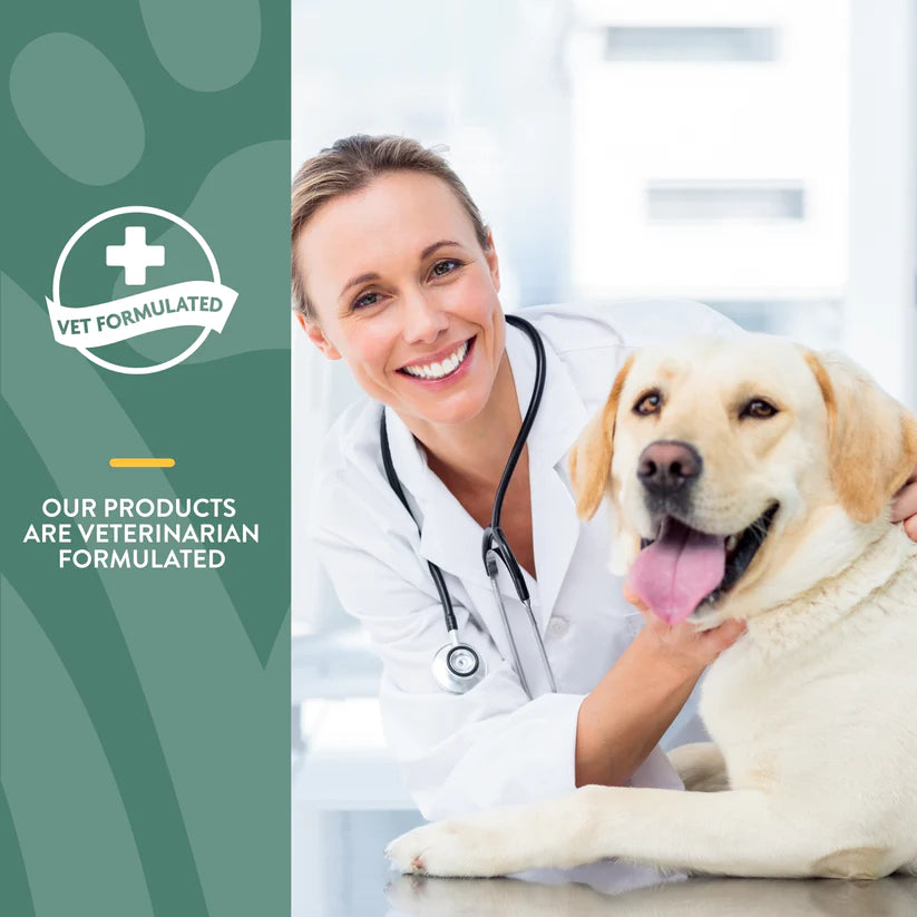 NaturVet Glucosamine DS Plus™ Tabs Level 2 , Dog Supplement