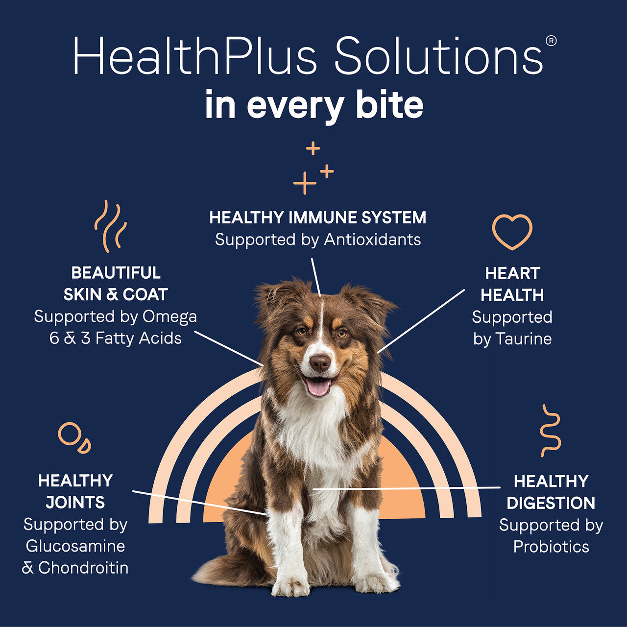 Canidae Pure Wholesome Grains Adult Salmon & Barley, Dry Dog Food