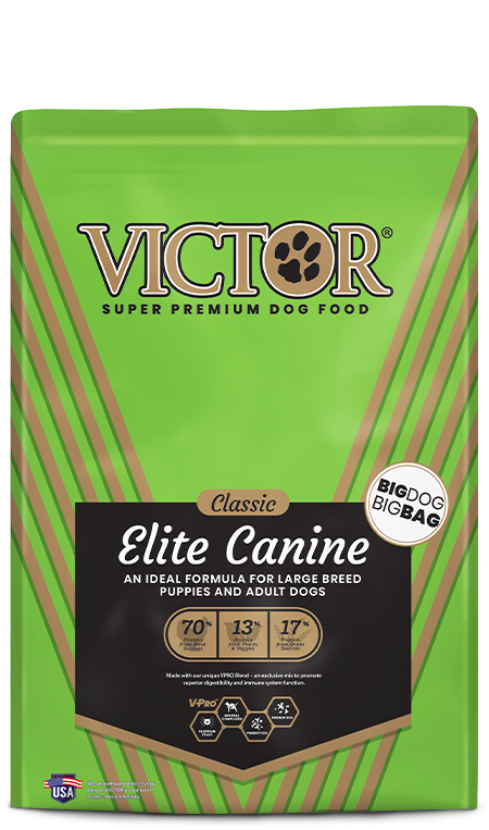 Victor teal dog clearance food