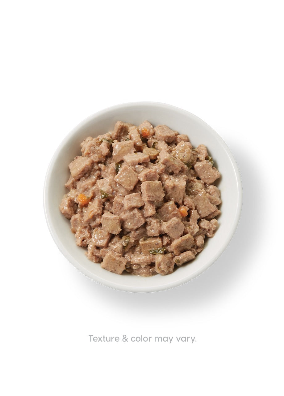 Solid Gold Wholesome Selects With Turkey and Pumpkin in Gravy, Wet Cat Food, 3-oz Case of 12