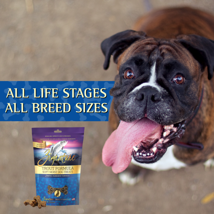 Zignature Soft Moist Treats Trout Formula 4-oz, Dog Treat