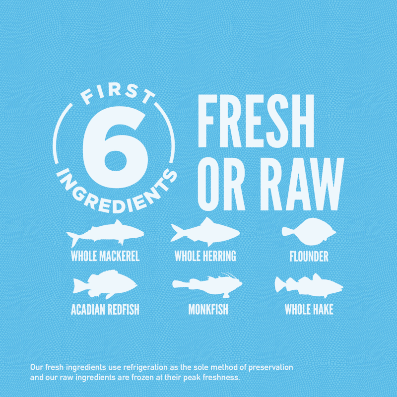 ORIJEN® Six Fish Dry Cat Food