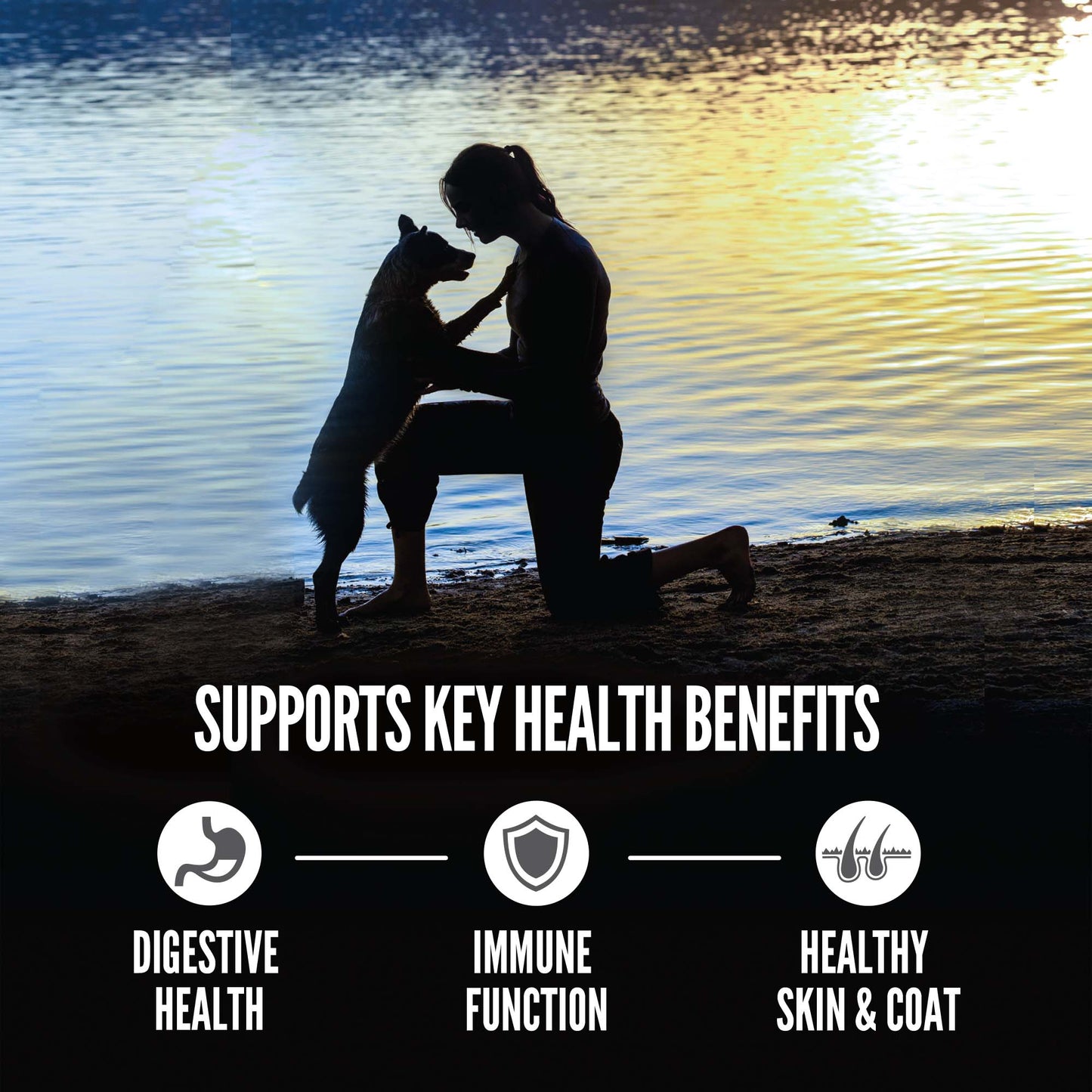 Orijen Amazing Grains Six Fish Dry Dog Food