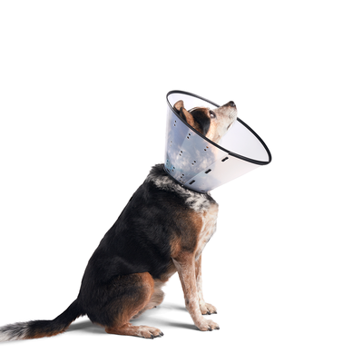 Dogswell Remedy+Recovery Clear E-Collar