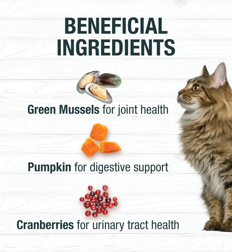 Koha Limited Ingredient Diet Rabbit Au Jus Pâté, Wet Cat Food, 3-Oz Case Of 24
